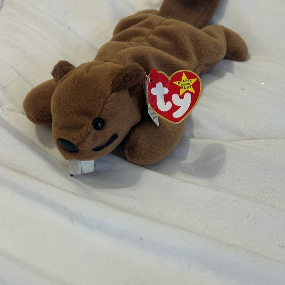 Bucky the beanie baby date of birthdate 6– 8-95 brown stuffed animal Ty